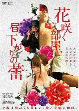 风雨桥内部木构与水面倒影的声音采集现场